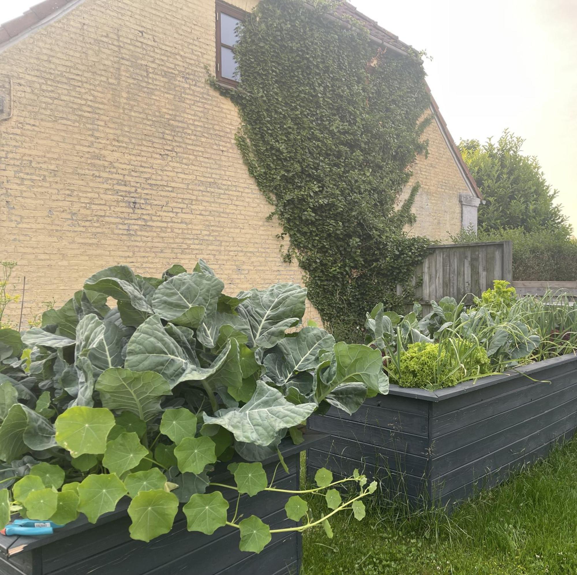 Jygge- Hyggelige Ferienwohnung Nordborg Luaran gambar